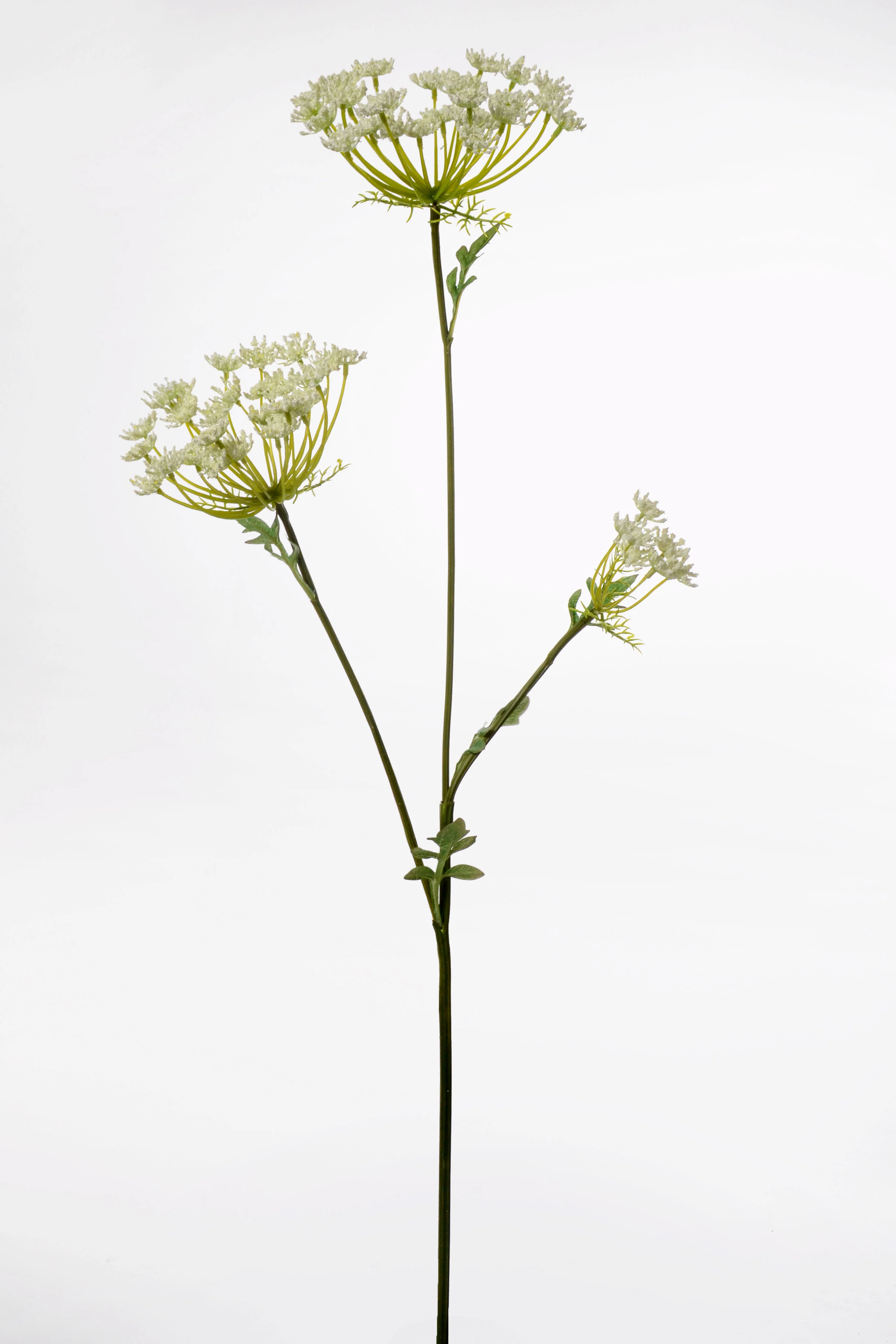 37'' Queen Anne's Lace Spray White