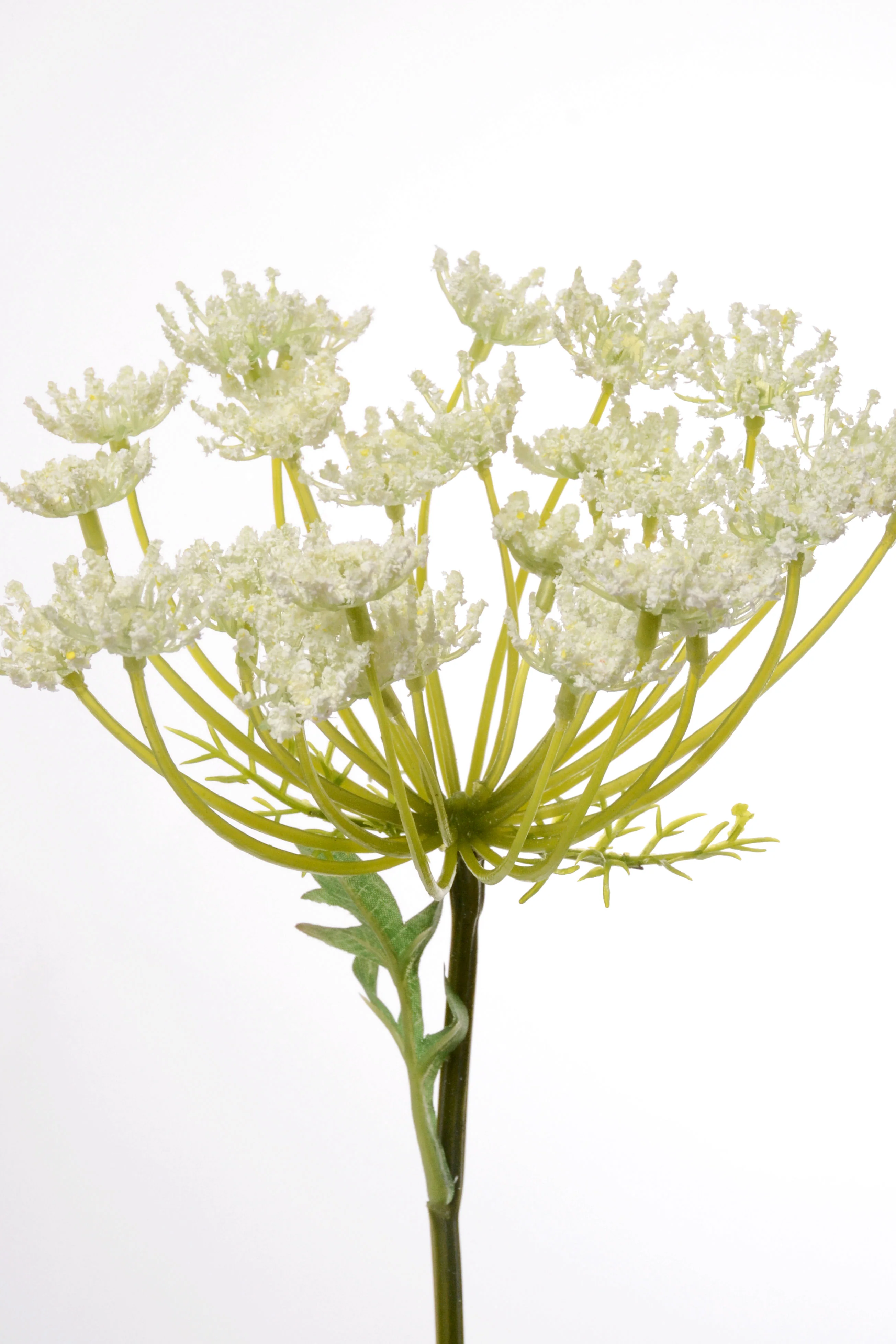 37'' Queen Anne's Lace Spray White - Image 2