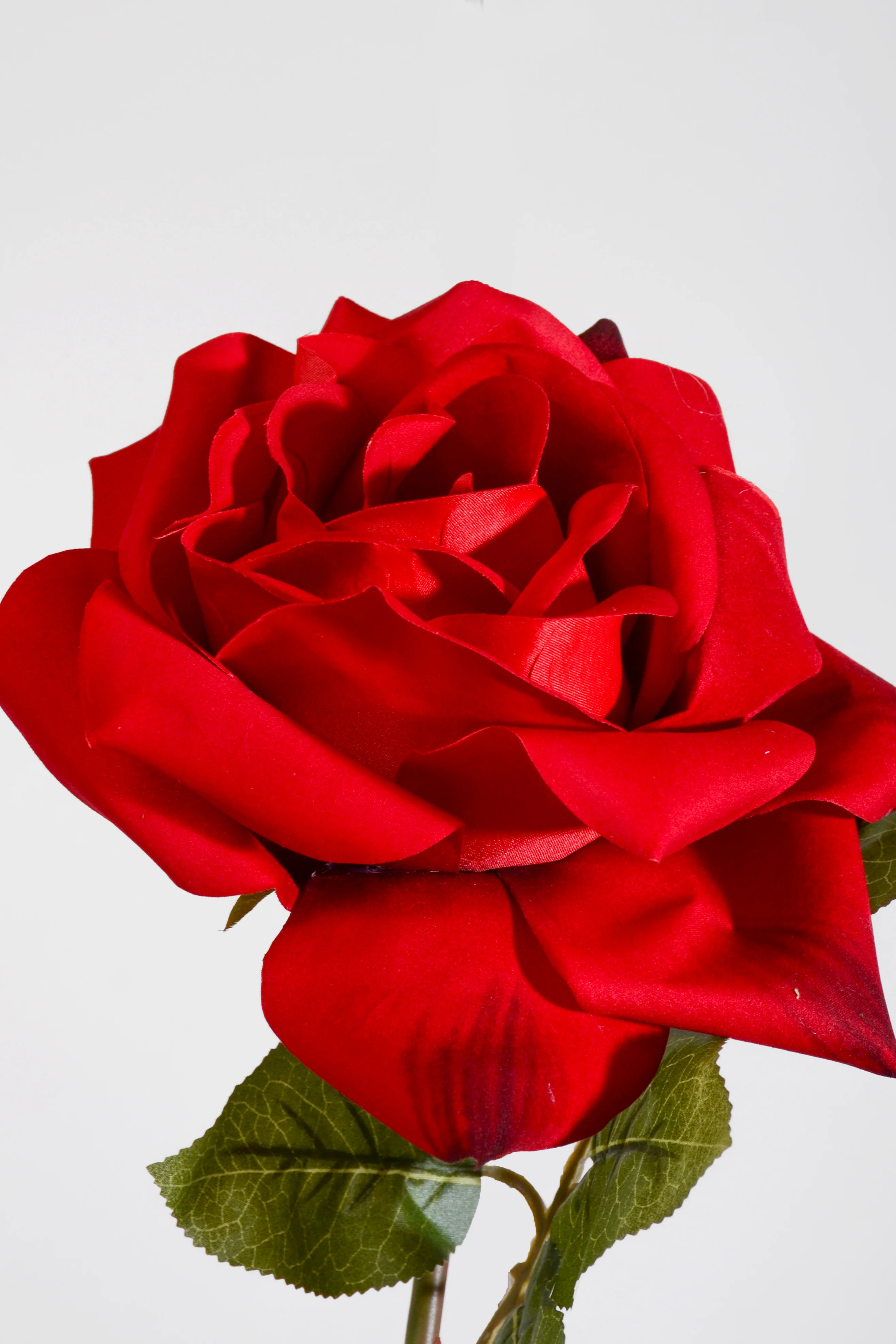 37" Silk King Rose Stem Red - Image 2