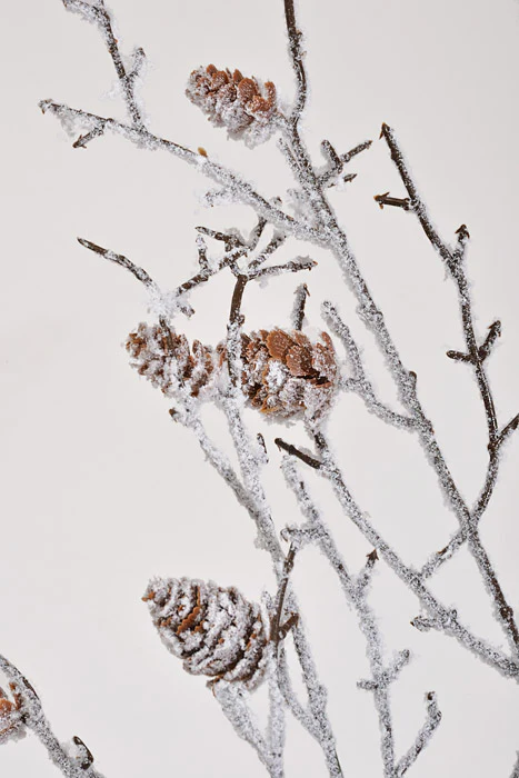 37" Snowy Twigs/Pinecones Stem Brown - Image 2