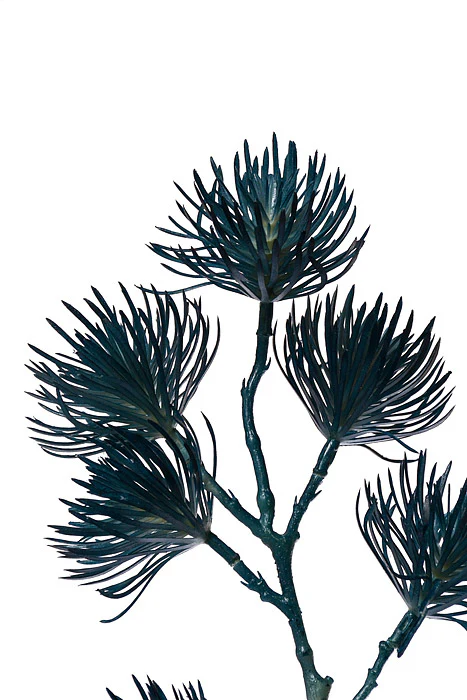 37" Thistle Spray Blue - Image 2