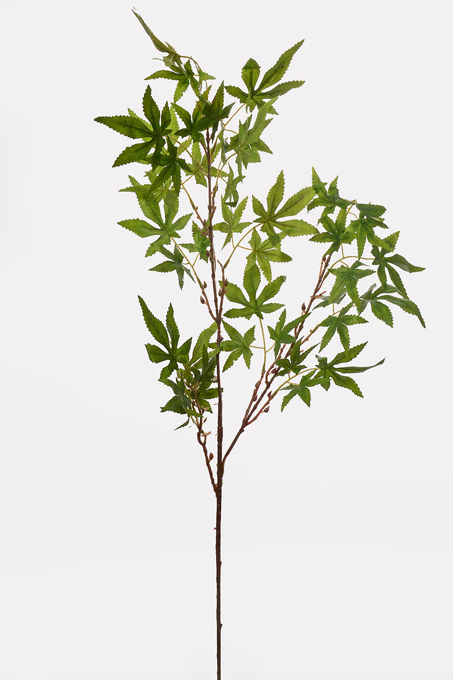 38.5" Maple Leaf Branch Green