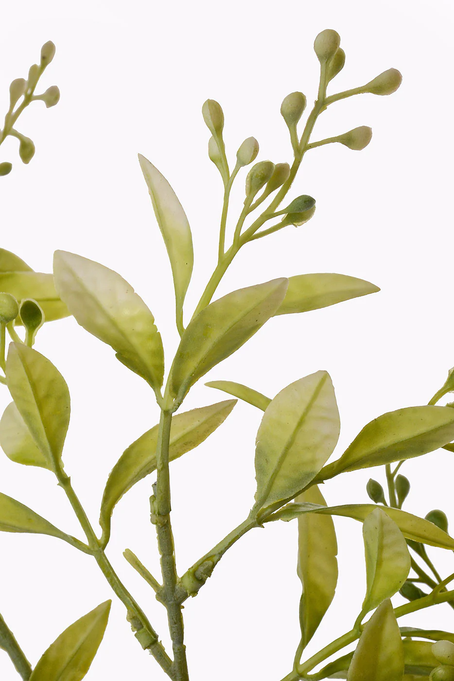 38" Artificial Berry Leaf Spray Green/White - Image 2