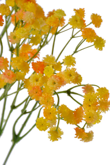 38" Baby's Breath Spray Yellow - Image 2