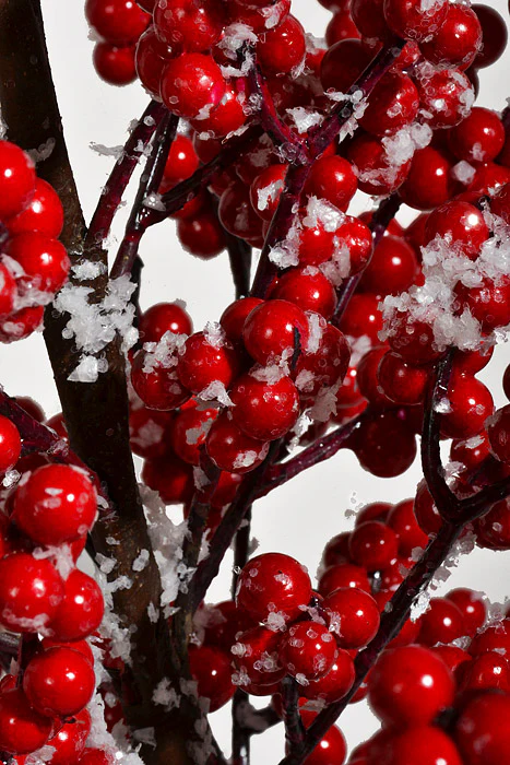 38" Berry Tree W/Snow In a Pot Red - Image 2