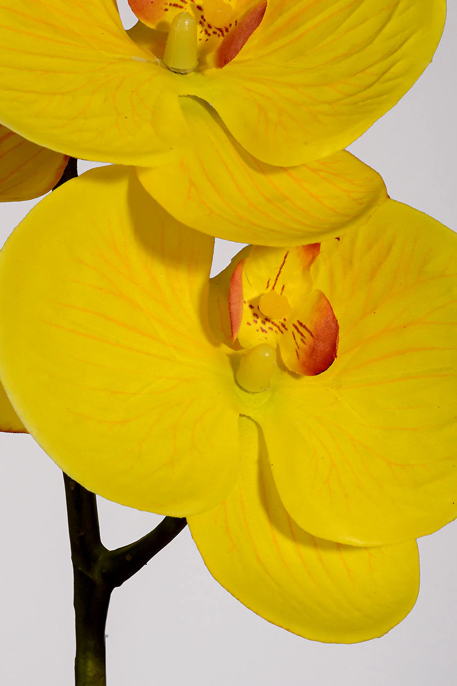 39.5" Real Touch Silk Phalaenopsis Spray Yellow - Image 2