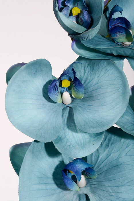 39.5" Silk Phalaenopsis Spray Aqua Sage - Image 2