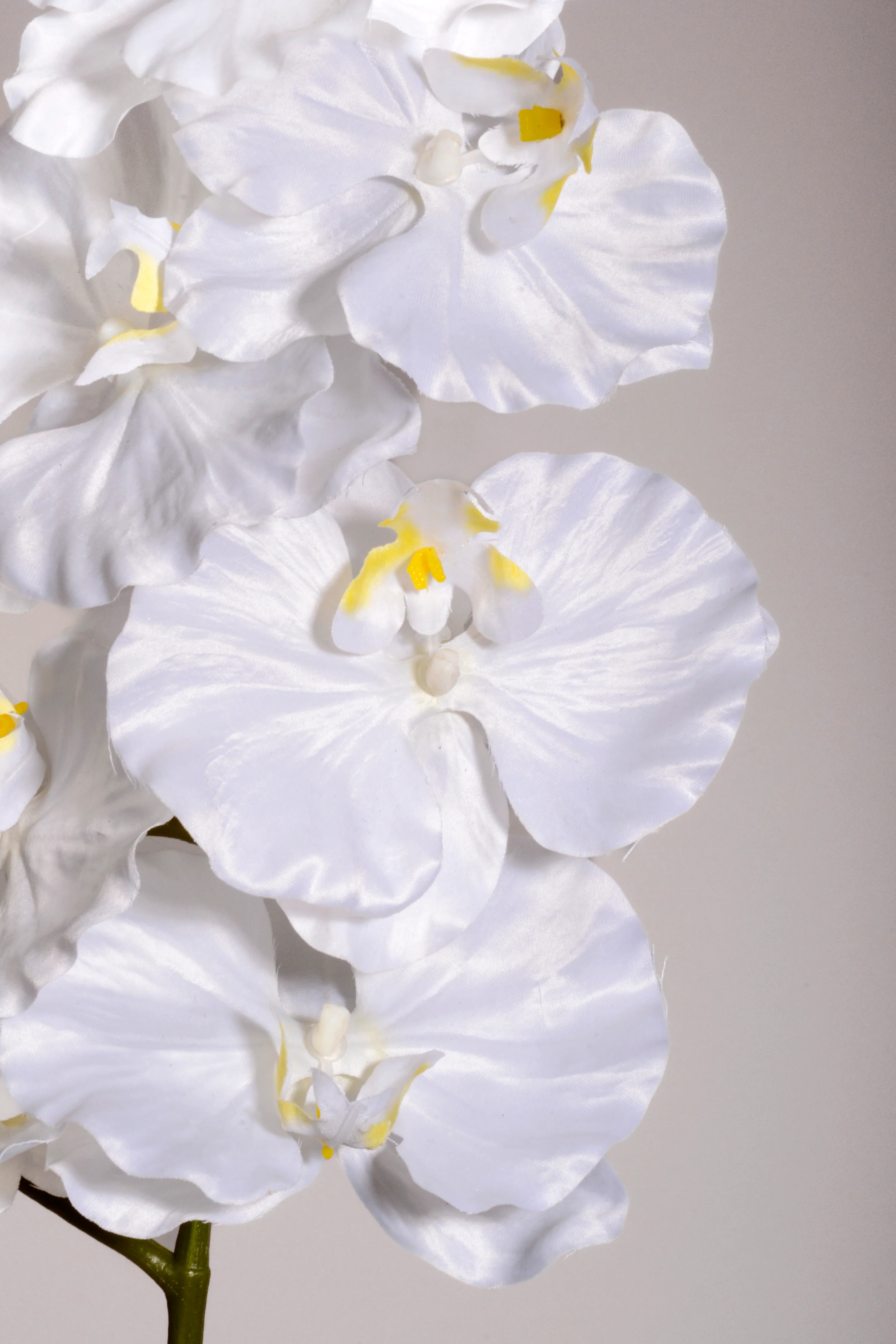 39.5" Silk Phalaenopsis Spray White - Image 2