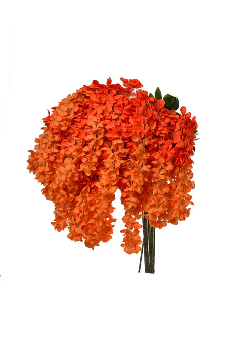 39.5" Silk Wisteria Hanging Spray Orange Two Tones Pkg/12 - Image 3
