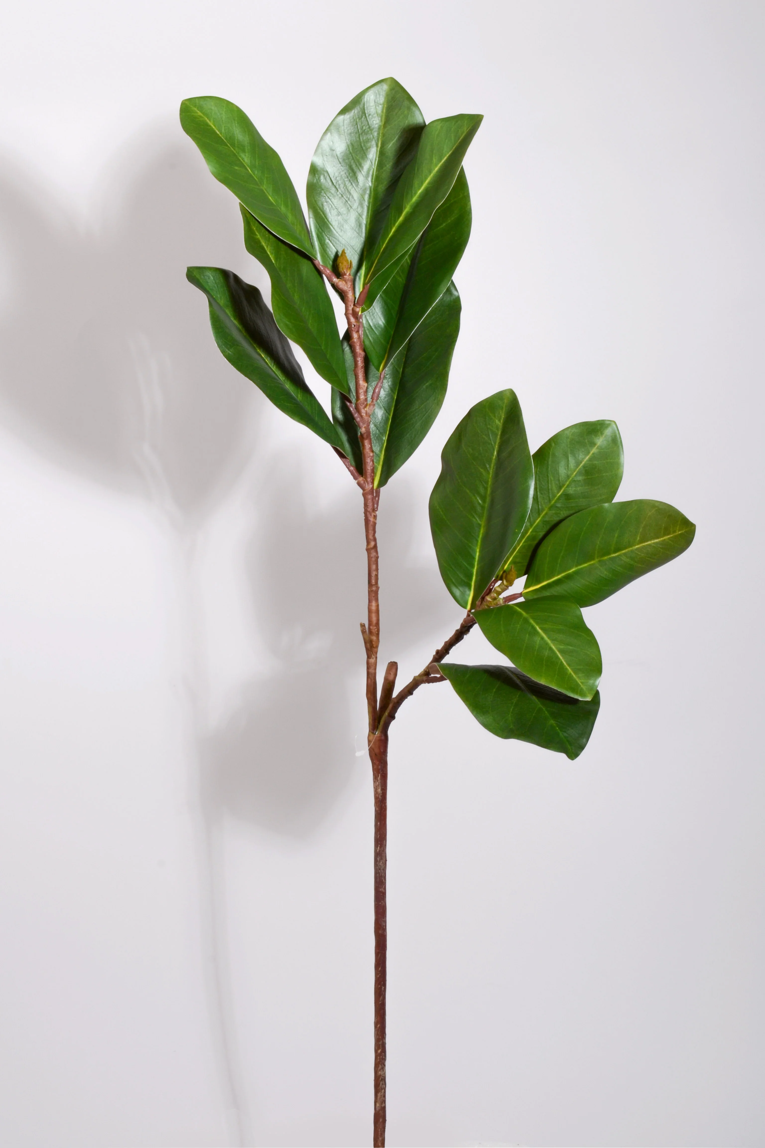 39" Artificial Magnolia Leaf Spray Green