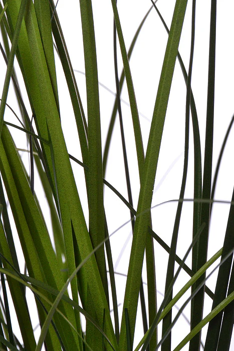 39" Grass Bush In Pot Green Two Tones - Image 2