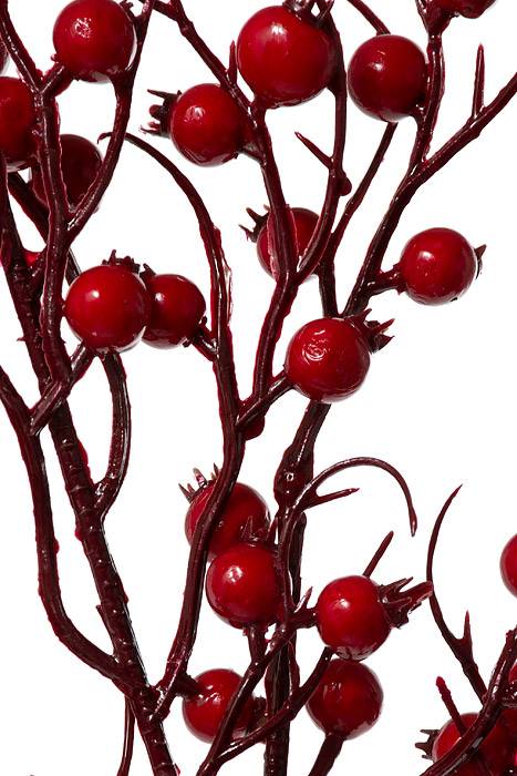 39"  Rosehip Berry Spray Red - Image 2