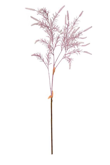 39" Setaria Bush Lavender