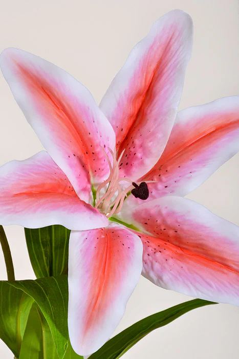 39" Silk Lily Spray Pink - Image 2