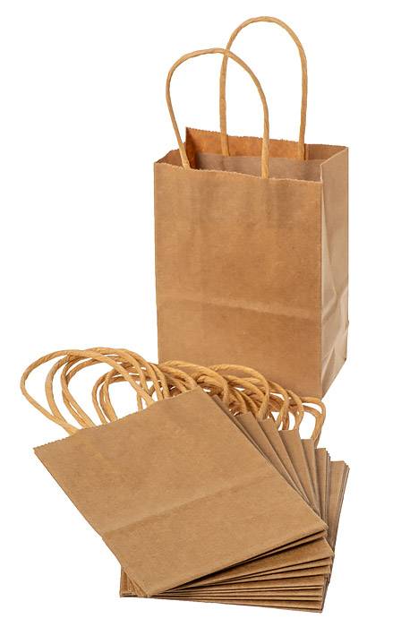 4.25 X 2.25 X 6" Kraft Shopping Bag Natural Pkg/12 - Image 2