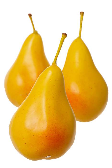 4.5" Pears Yellow Pkg/12 - Image 2