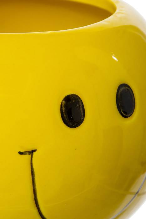 4.5" Smiley Face Planter Yellow - Image 2