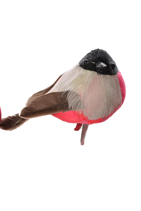 4" Bird With Clip Black/Red Set/2 - Image 2