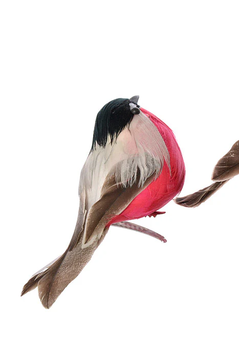 4" Bird With Clip Black/Red Set/2 - Image 3