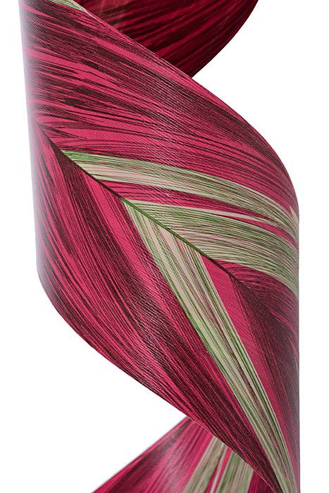 4" X 50yds Leaf/Aspidstra Ribbon Pink - Image 2