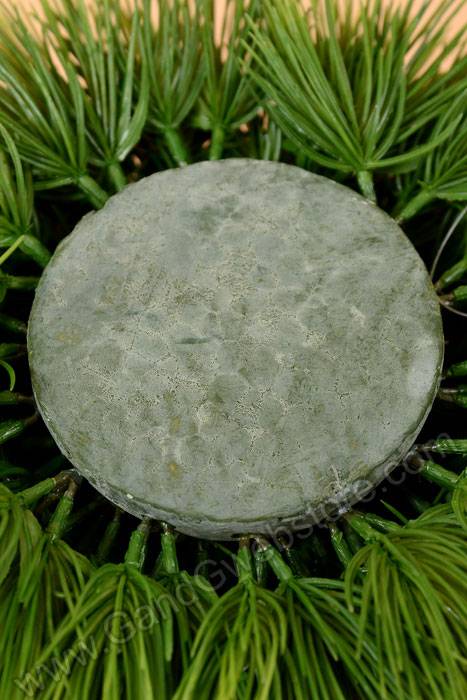 4" X 7" Pine Grass Dome Green - Image 3