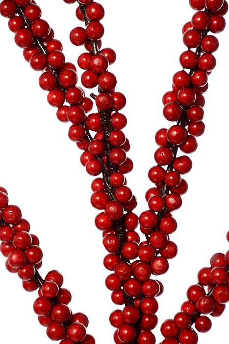 40" Berry Branch Natural Red - Image 2