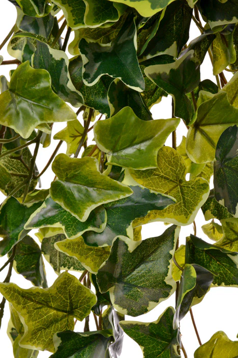 40" Real Touch Ivy Hanger (Variegate) - Image 2