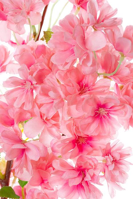 40" Silk Cherry Blossom Spray Two Tone/pink - Image 2