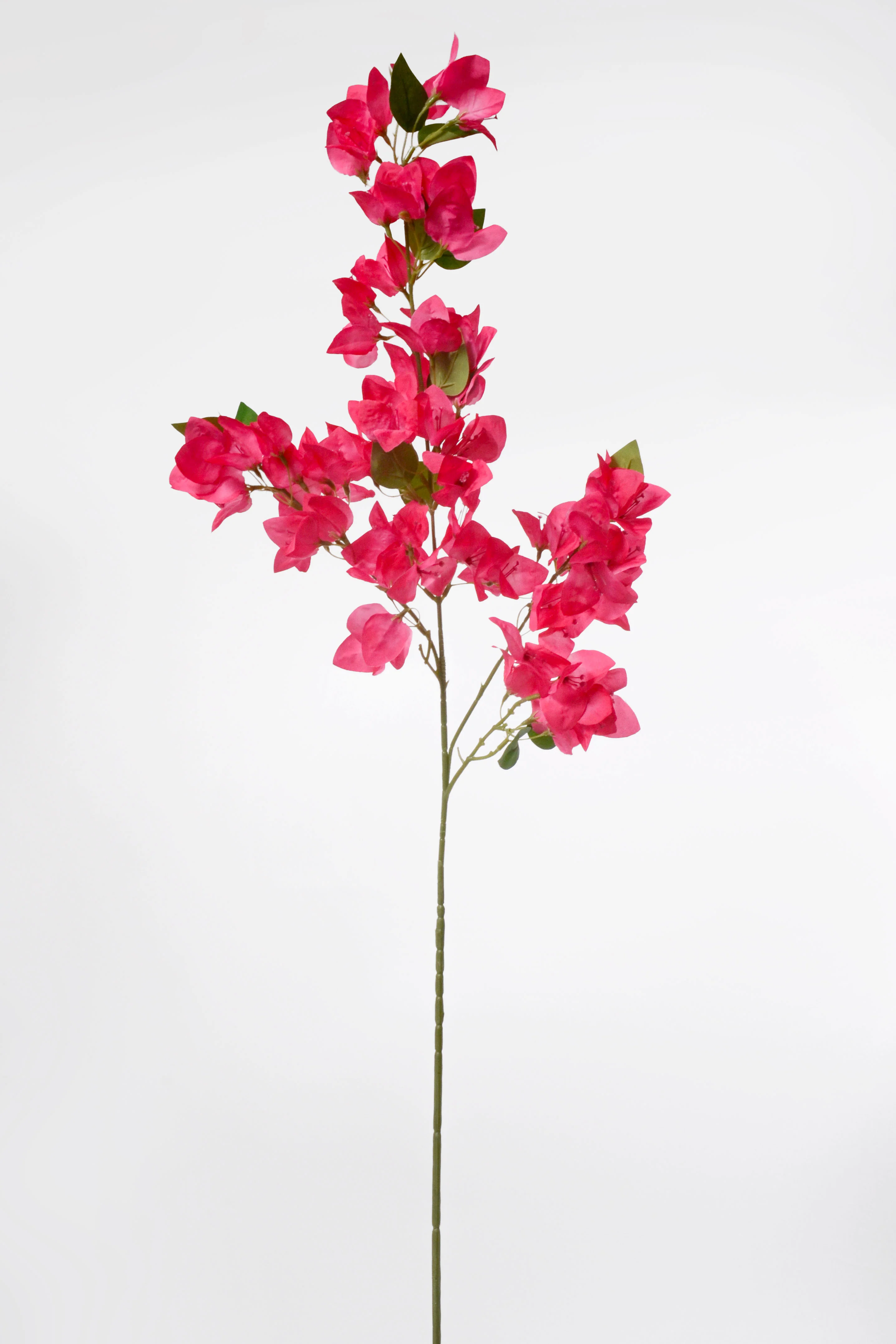 41.5" Silk Bougainvillea Spray Beauty