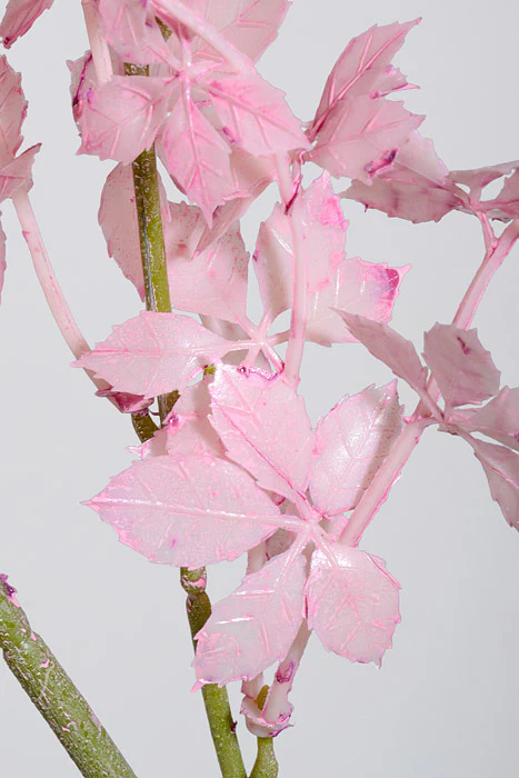 41" Artificial Wild Flower Spray Pink - Image 2