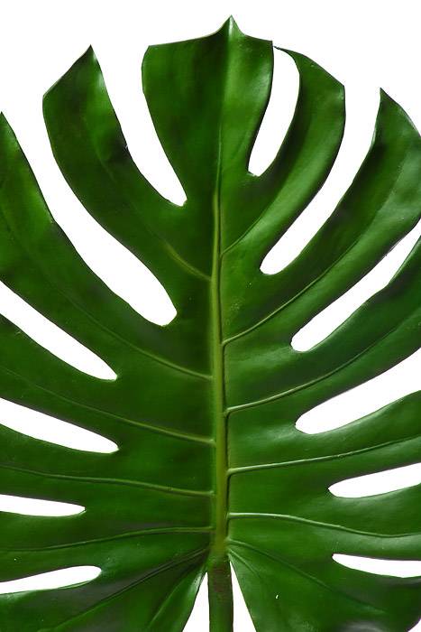 41" Monstera Leaf Spray Green - Image 2