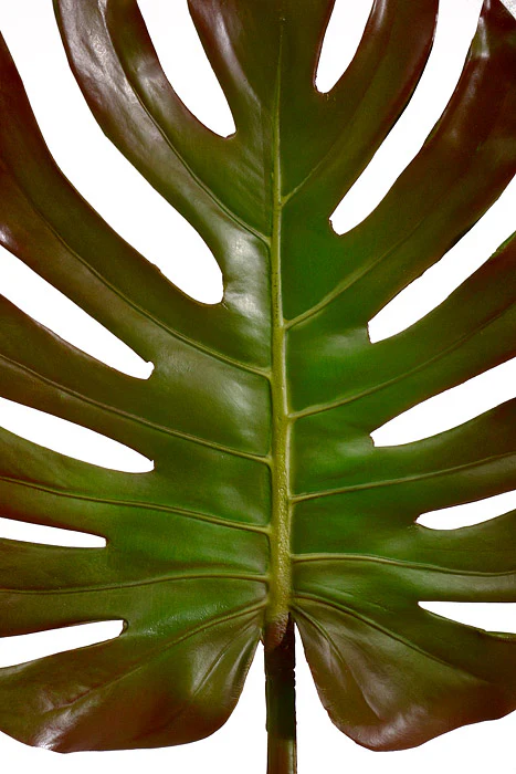 41" Monstera Leaf Spray Green - Image 2