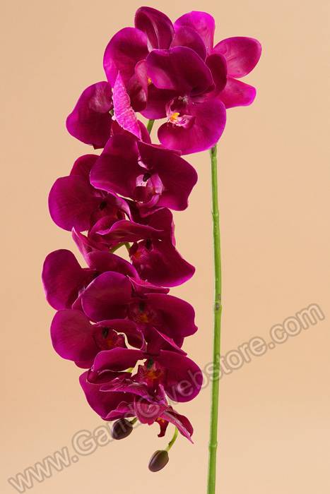 41" Phalaenopsis Spray Purple - Image 2