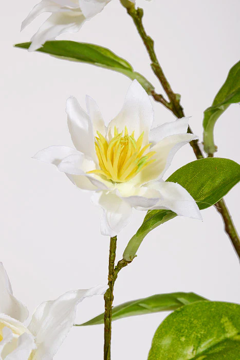 42.5" Silk Clematis Spray White - Image 2