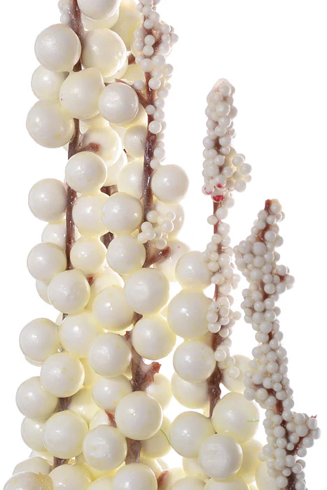 42" Berry Spray White - Image 2
