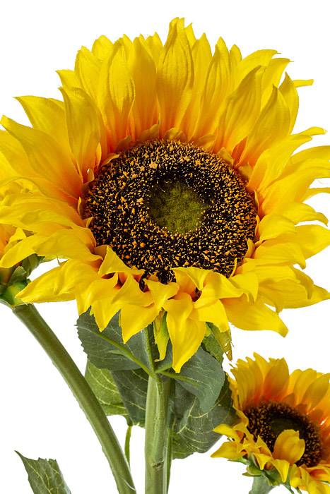 42" Silk Sunflower Spray Yellow - Image 2