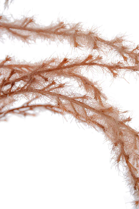 42" Trailing Pampas Grass Spray Flame - Image 2