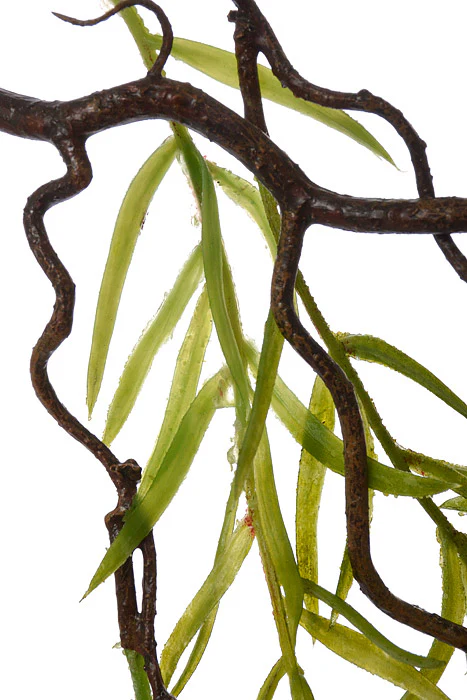 42" Willow Branch Green - Image 2