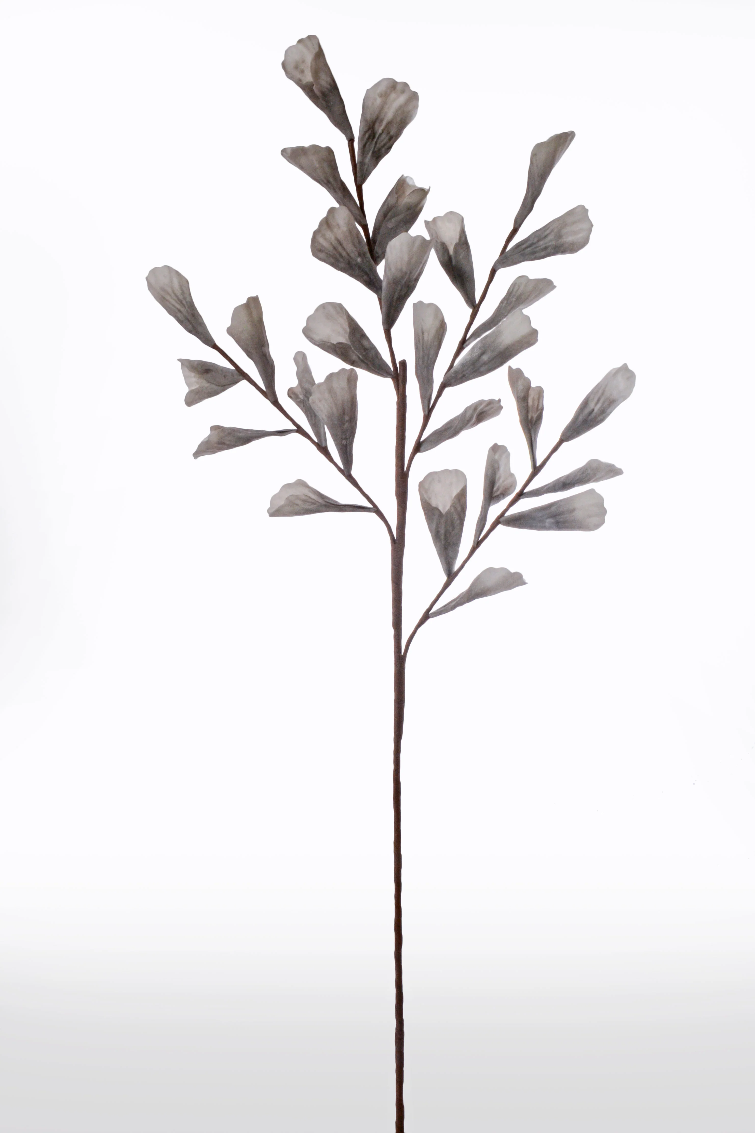 43" Shell Leaf Spray Grey