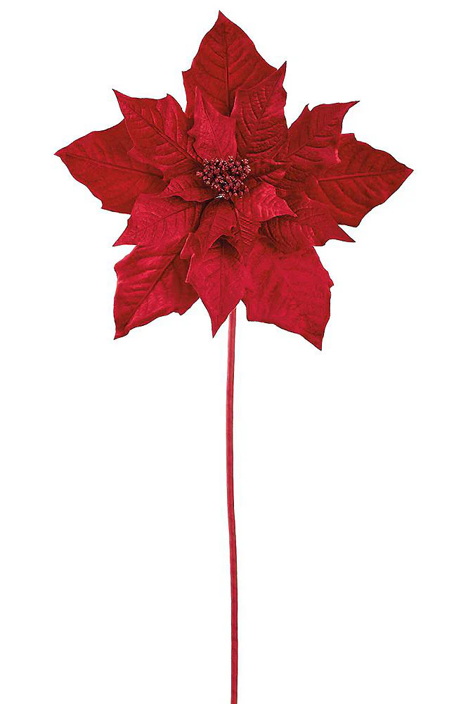 43" Velvet Poinsettia Spray Red
