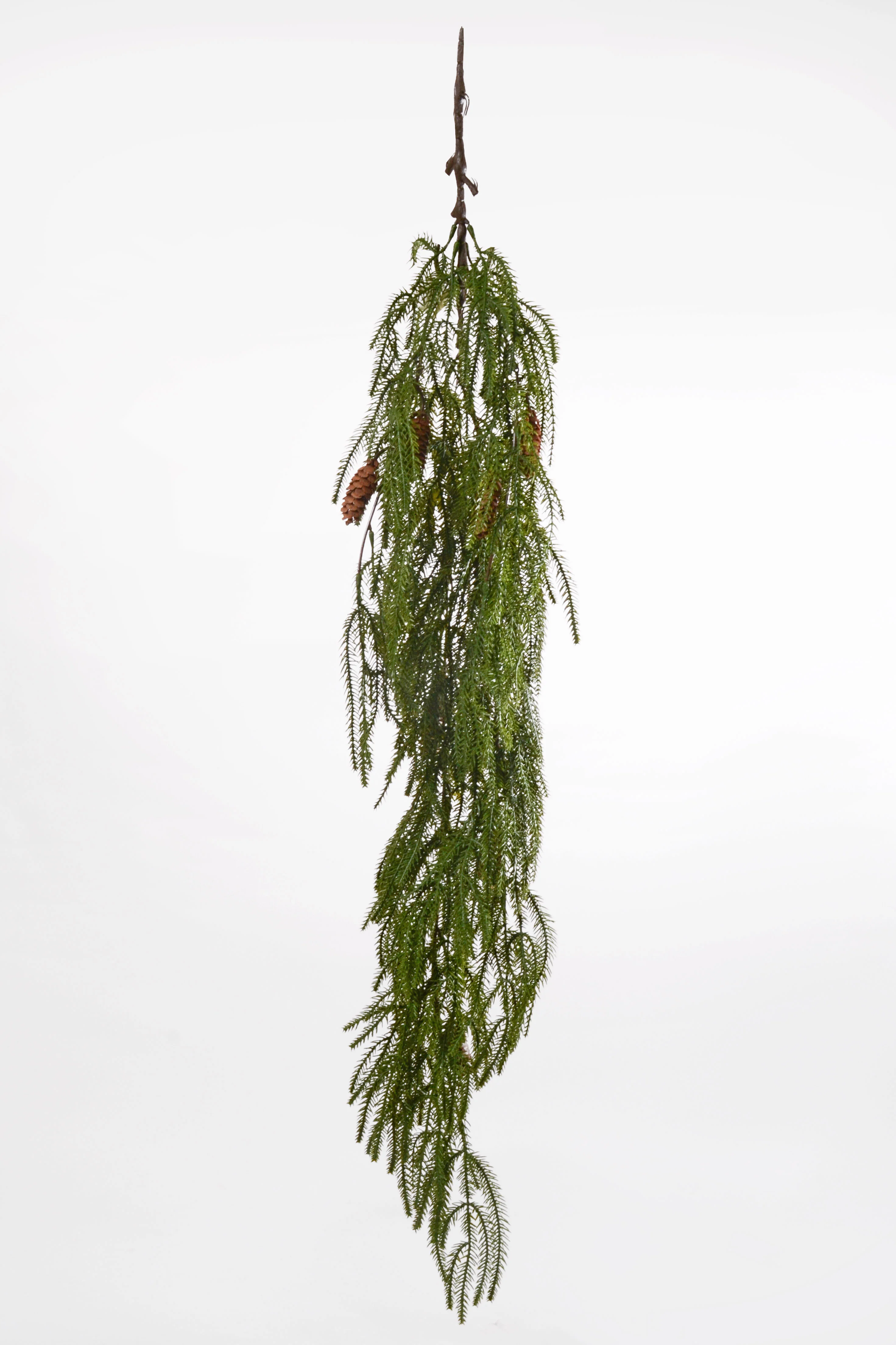 44'' Hanging Norfolk Pine Spray Green
