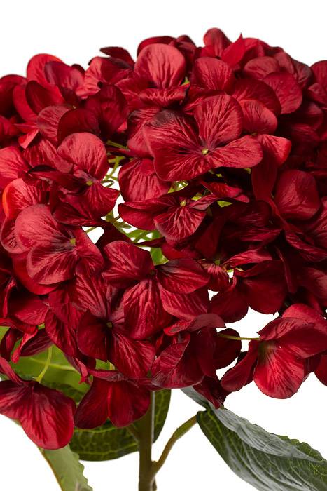 44" Single Giant Silk Hydrangea (Red) - Image 2