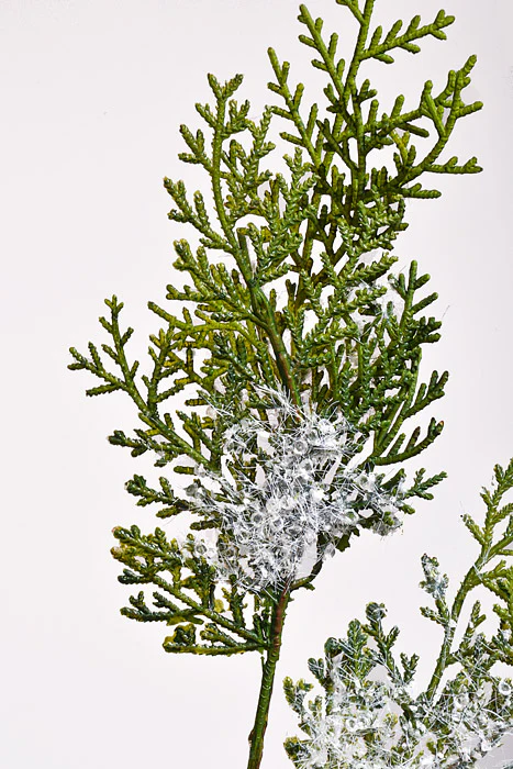 45" Iced Cedar Spray Green - Image 2