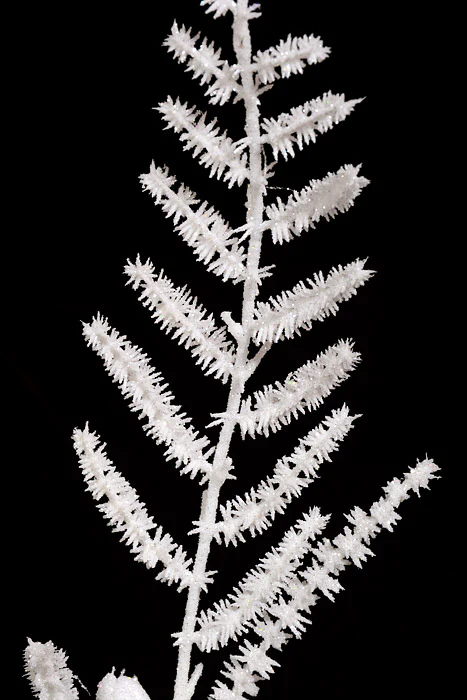 45" Lazer Glittered Pine Spray White - Image 2