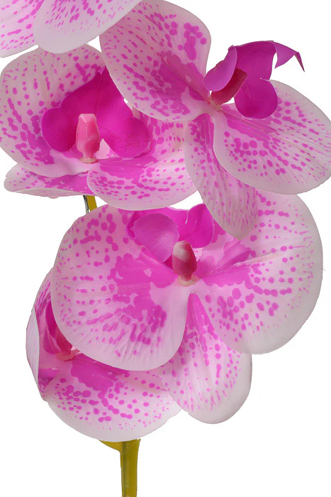 45" Silk Phalaenopsis Spray Orchid/Violet - Image 2