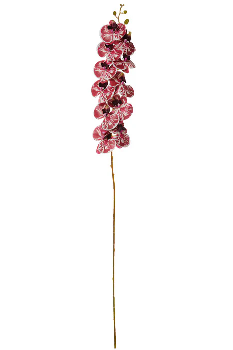 45" Silk Phalaenopsis Spray Orchid/White