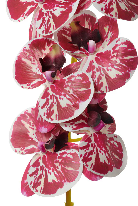 45" Silk Phalaenopsis Spray Orchid/White - Image 2