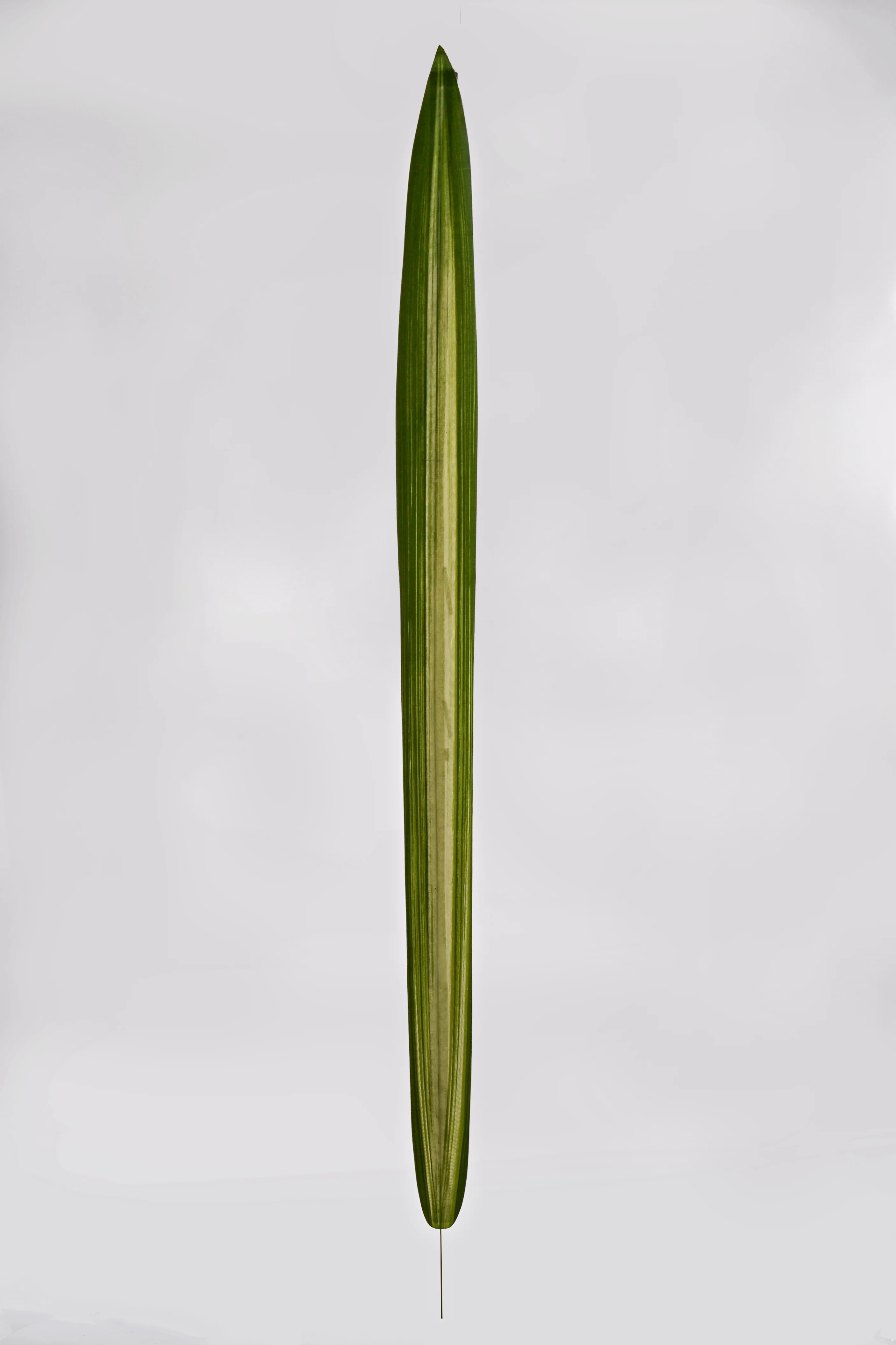 46" Artificial Large Carex Leaf Spray Green
