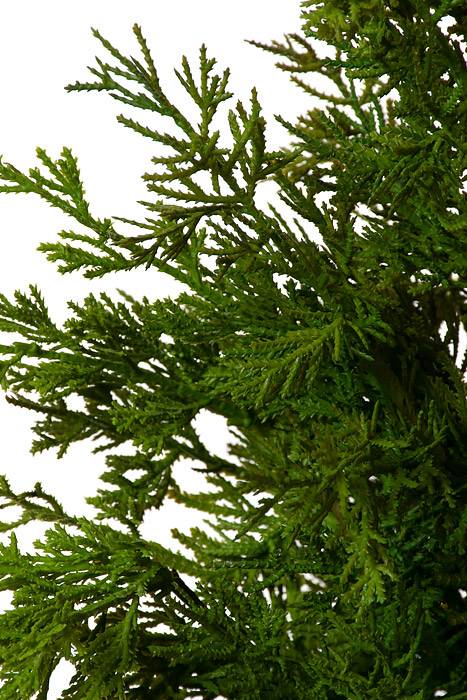 46" Galvanize Potted Standard Cedar Tree Natural/green - Image 2