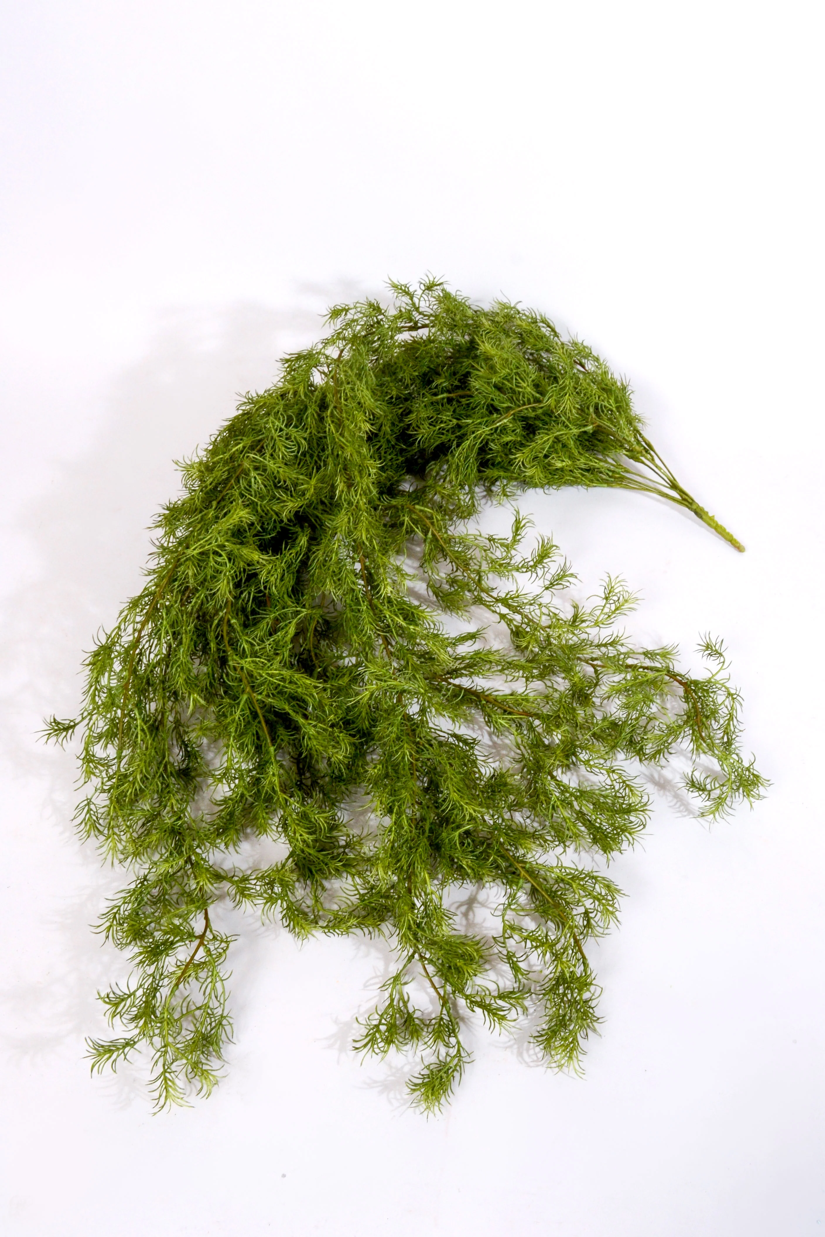 46" Hanging  Springer Vine Green